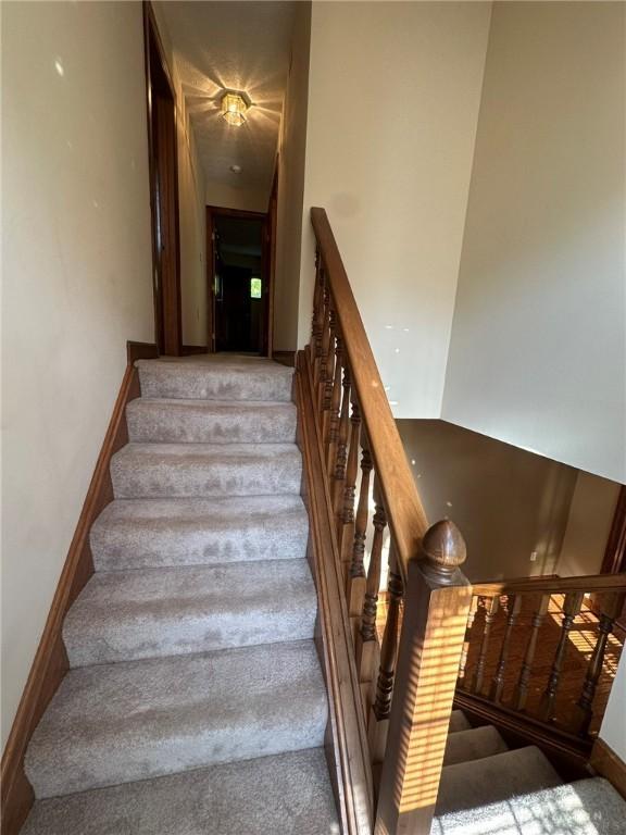 6553 Stillcrest Way, Dayton, OH 45414 - stairs featuring carpet