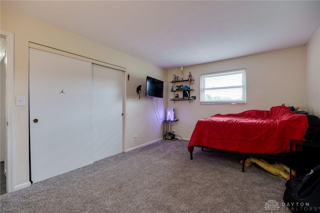 10452 S Union Rd, Miamisburg, OH 45342 - bedroom featuring carpet and a closet