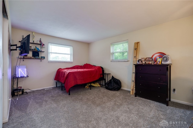 10452 S Union Rd, Miamisburg, OH 45342 - bedroom featuring multiple windows and carpet