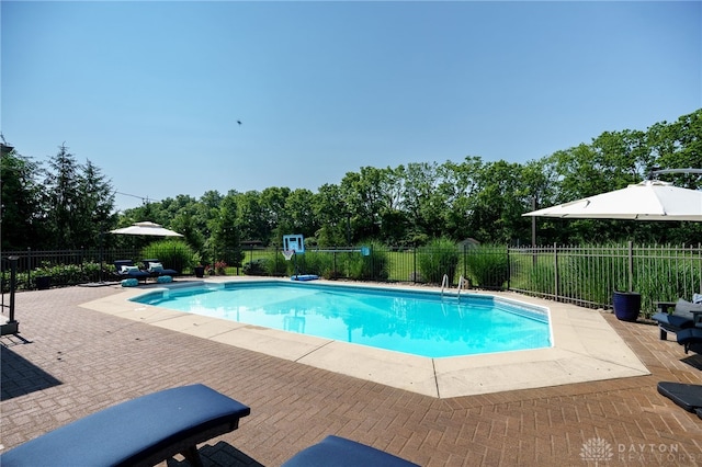 243 Woodside Trl, Clearcreek Twp, OH 45036 - view of swimming pool featuring a patio and view of scattered trees