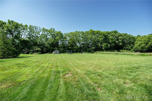 243 Woodside Trl, Clearcreek Twp, OH 45036 - view of grassy yard with a storage unit