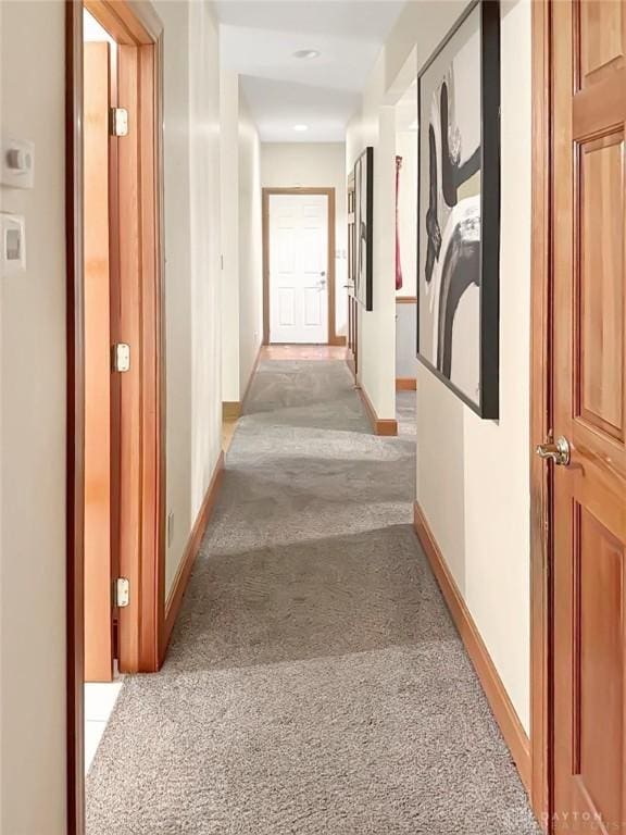 7171 Dominican Dr, Clayton, OH 45415 - corridor with light colored carpet