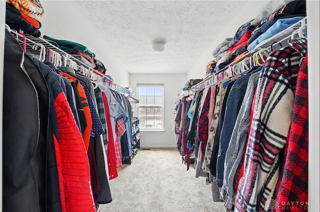 1662 S Branch Rd, Centerville, OH 45458 - spacious closet with carpet flooring