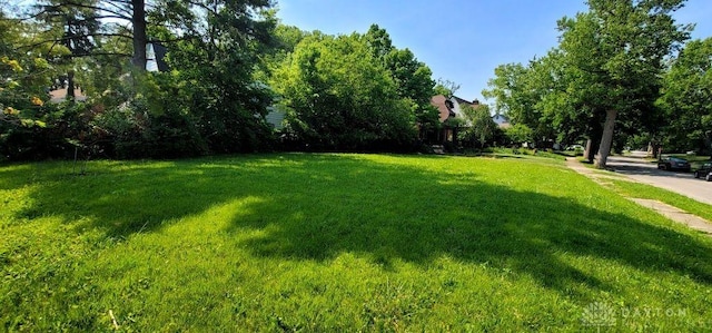 1801 Harvard Blvd, Dayton, OH 45406 - photo 1