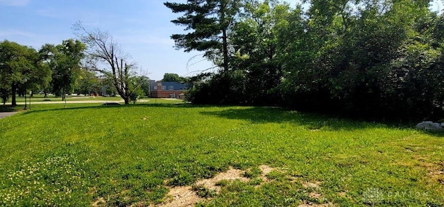 1801 Harvard Blvd, Dayton, OH 45406 - photo 4