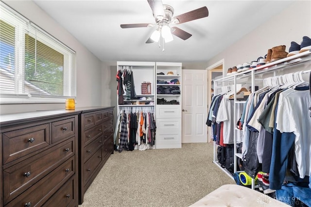 7155 Chadbourne Dr, Dayton, OH 45424 - photo 22