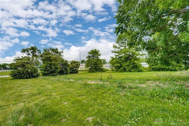 3348 Phillipsburg Union Rd, Englewood, OH 45322 - view of yard