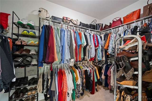 4738 Saddletop Ridge Ln, Mason, OH 45040 - walk in closet with carpet floors