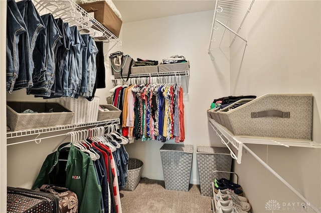 928 Southline Dr, Lebanon, OH 45036 - walk in closet featuring carpet