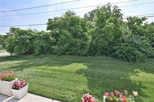 928 Southline Dr, Lebanon, OH 45036 - view of grassy yard