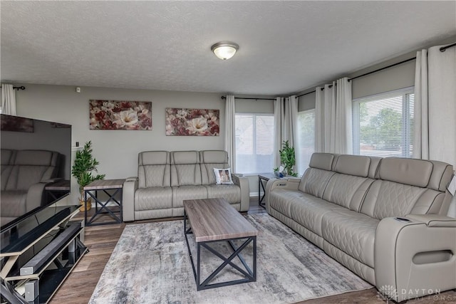 1107 Sunset Dr, Englewood, OH 45322 - living area featuring wood finished floors and a textured ceiling