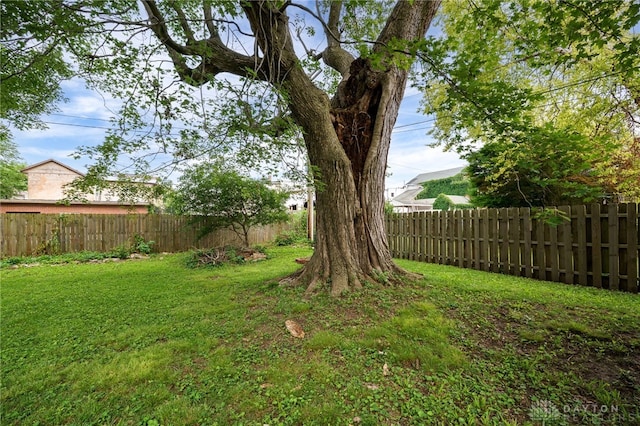18 E Washington St, Jamestown Vlg, OH 45335 - view of fenced backyard