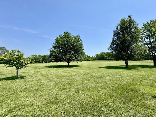 2950 S Clayton Rd, Farmersville, OH 45325 - view of green lawn