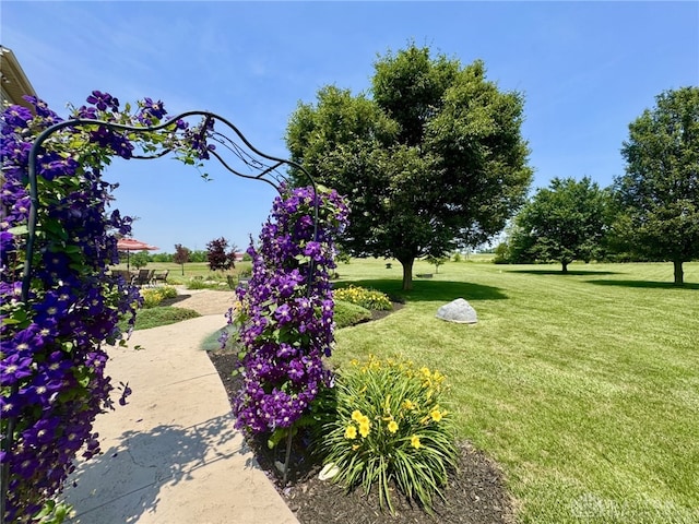 2950 S Clayton Rd, Farmersville, OH 45325 - view of home's community featuring a lawn