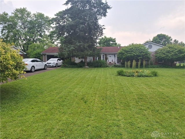 291 Chamberlin Rd, Carlisle, OH 45005 - view of green lawn with an attached garage and driveway