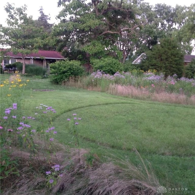 291 Chamberlin Rd, Carlisle, OH 45005 - view of green lawn