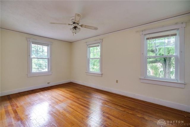 301 E Peach Orchard Ave, Oakwood, OH 45419 - spare room with plenty of natural light, light wood-style flooring, a ceiling fan, and ornamental molding