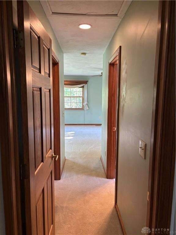 215 W Martindale Rd, Englewood, OH 45322 - hallway with light carpet and baseboards