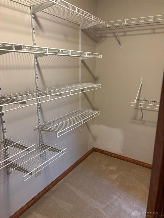 215 W Martindale Rd, Englewood, OH 45322 - spacious closet featuring carpet floors