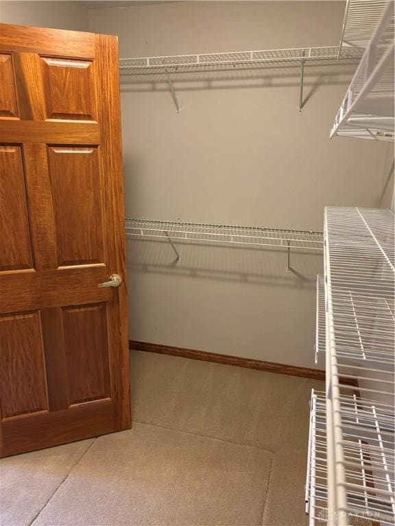 215 W Martindale Rd, Englewood, OH 45322 - walk in closet with light colored carpet
