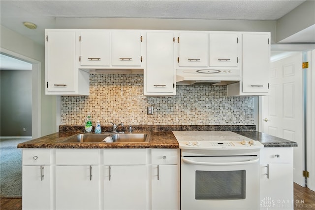 75 Royal Dr, Springboro, OH 45066 - kitchen with electric stove, under cabinet range hood, white cabinets, and tasteful backsplash