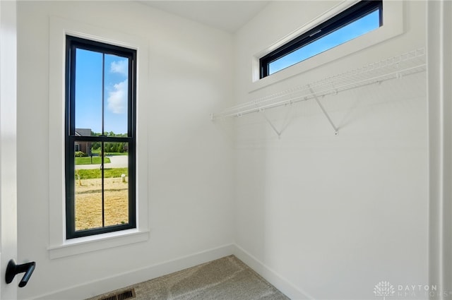 8559 Wandering Brook Way, Waynesville, OH 45068 - walk in closet featuring carpet floors