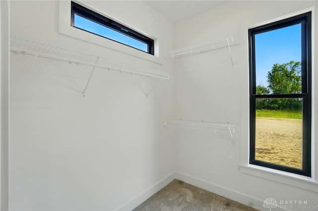 8559 Wandering Brook Way, Waynesville, OH 45068 - spacious closet with carpet flooring