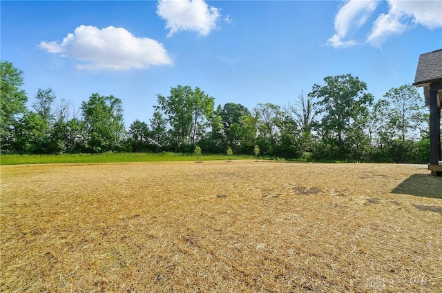 8559 Wandering Brook Way, Waynesville, OH 45068 - view of yard