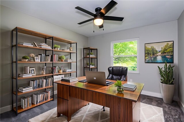 390 Washington Ave, Wilmington, OH 45177 - home office with ceiling fan and dark carpet
