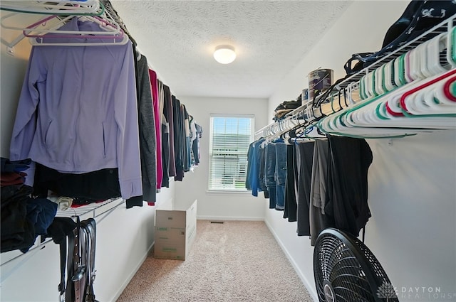 1956 Daffodil Dr, Xenia, OH 45385 - walk in closet with carpet