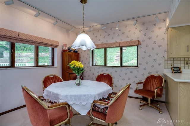 1952 Tait Circle Rd, Dayton, OH 45429 - dining room featuring rail lighting and light carpet