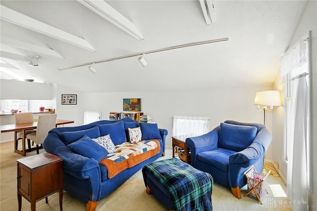 3127 Gracemore Ave, Kettering, OH 45420 - living area with track lighting, carpet floors, and lofted ceiling