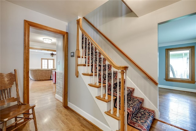 164 Winding Way, Kettering, OH 45429 - staircase with wood finished floors and crown molding