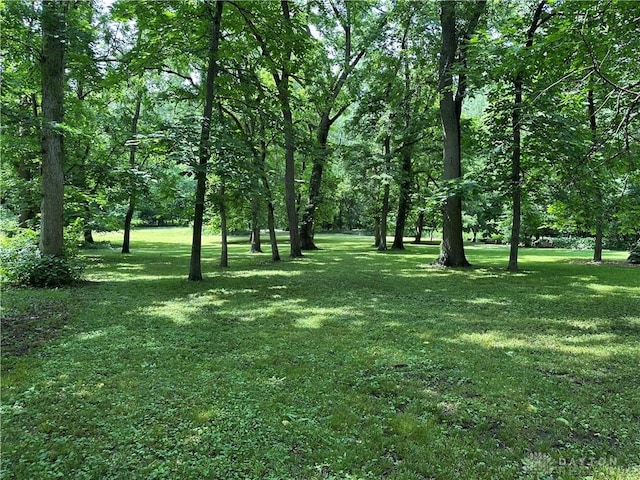 1968 Forest Dell Dr, Beavercreek, OH 45434 - photo 55