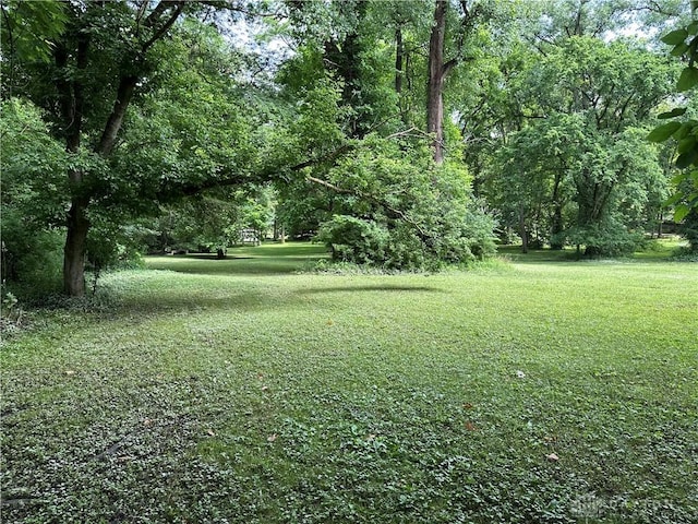 1968 Forest Dell Dr, Beavercreek, OH 45434 - photo 56