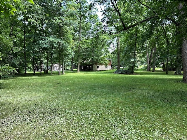 1968 Forest Dell Dr, Beavercreek, OH 45434 - photo 59