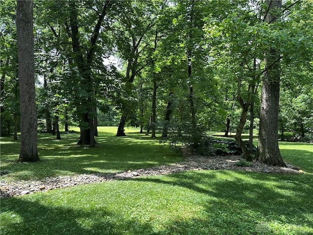 1968 Forest Dell Dr, Beavercreek, OH 45434 - photo 61