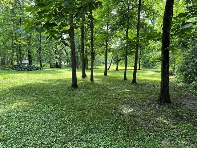 1968 Forest Dell Dr, Beavercreek, OH 45434 - photo 62