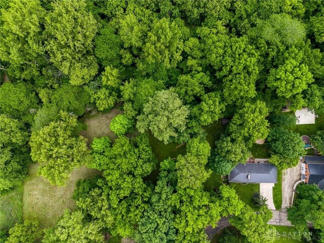 1968 Forest Dell Dr, Beavercreek, OH 45434 - photo 75