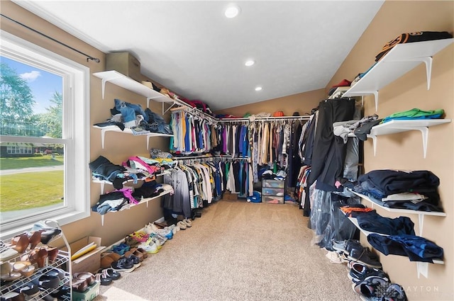 855 Quarry Rd, Silver Creek Twp, OH 45335 - walk in closet featuring carpet and lofted ceiling