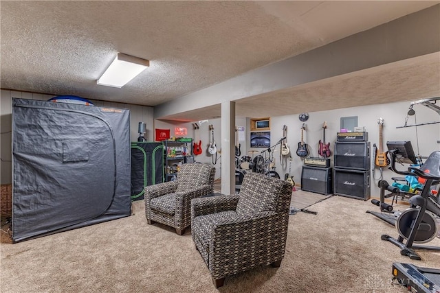 2025 Seneca Dr, Troy, OH 45373 - workout room featuring carpet and a textured ceiling