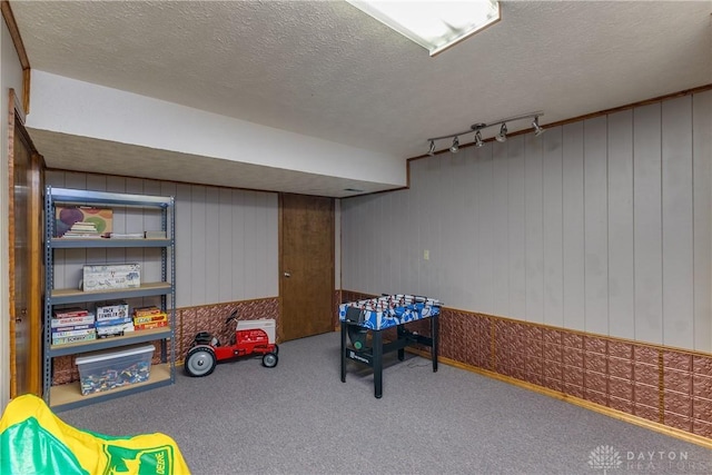 2025 Seneca Dr, Troy, OH 45373 - game room featuring carpet flooring, a textured ceiling, track lighting, and wooden walls