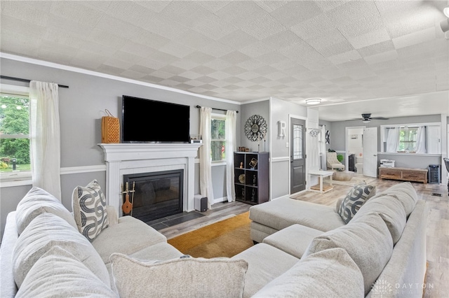 8684 Woodview Dr, Cincinnati, OH 45231 - living room with wood finished floors, a ceiling fan, healthy amount of natural light, a fireplace with flush hearth, and crown molding