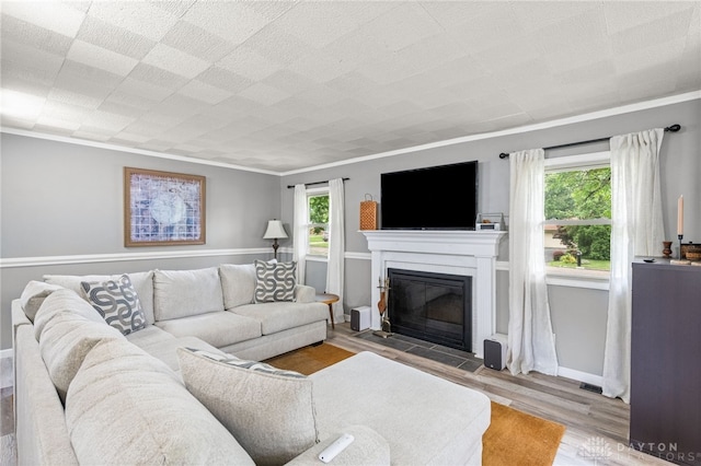 8684 Woodview Dr, Cincinnati, OH 45231 - living room with crown molding, a fireplace with flush hearth, and wood finished floors