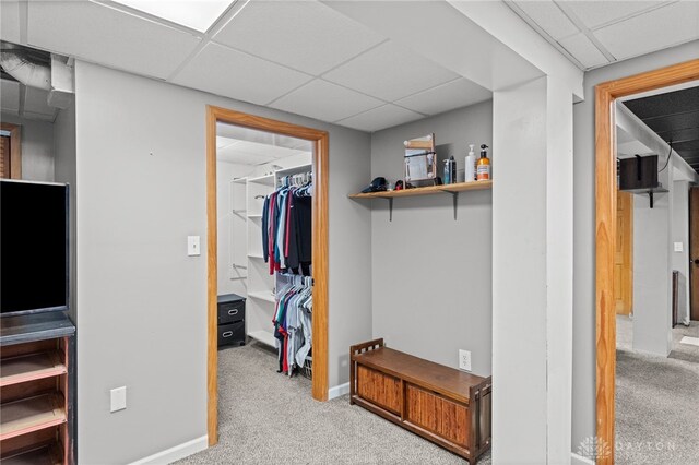 8684 Woodview Dr, Cincinnati, OH 45231 - hallway featuring a drop ceiling and carpet