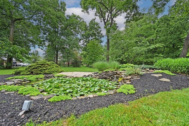 1241 Wind Field Ct, Washington Twp, OH 45458 - view of yard