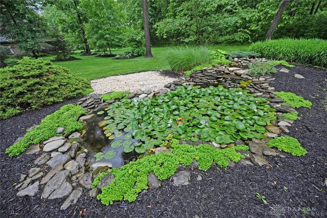 1241 Wind Field Ct, Washington Twp, OH 45458 - view of yard featuring a garden pond