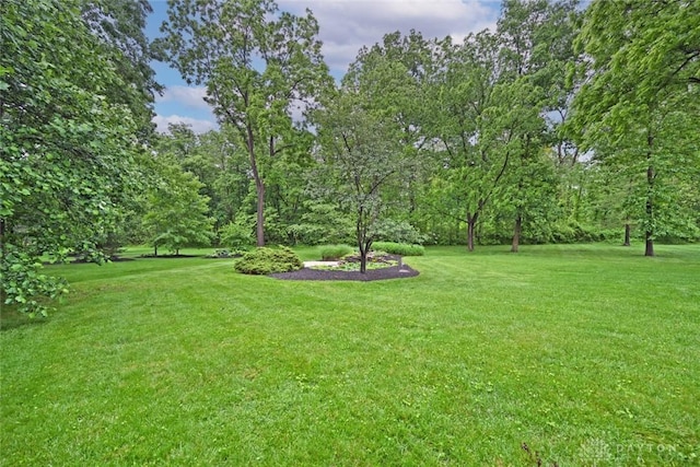 1241 Wind Field Ct, Washington Twp, OH 45458 - view of grassy yard