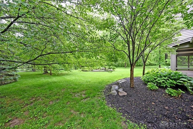 1241 Wind Field Ct, Washington Twp, OH 45458 - view of green lawn