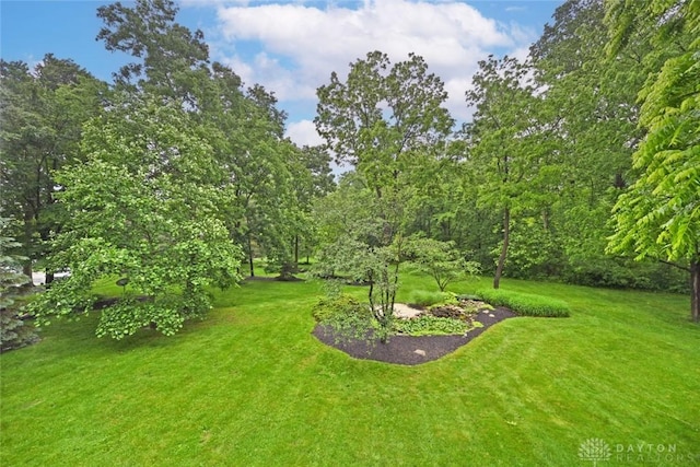 1241 Wind Field Ct, Washington Twp, OH 45458 - view of green lawn